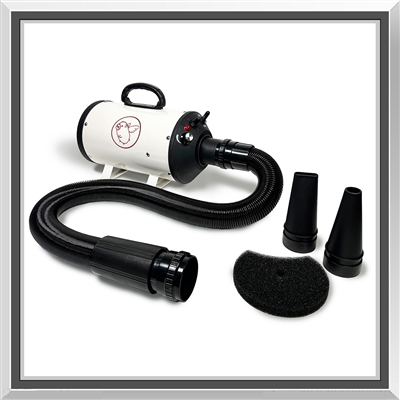 Pet grooming shops hair dryer